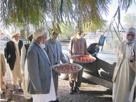 زعفران افغانستان